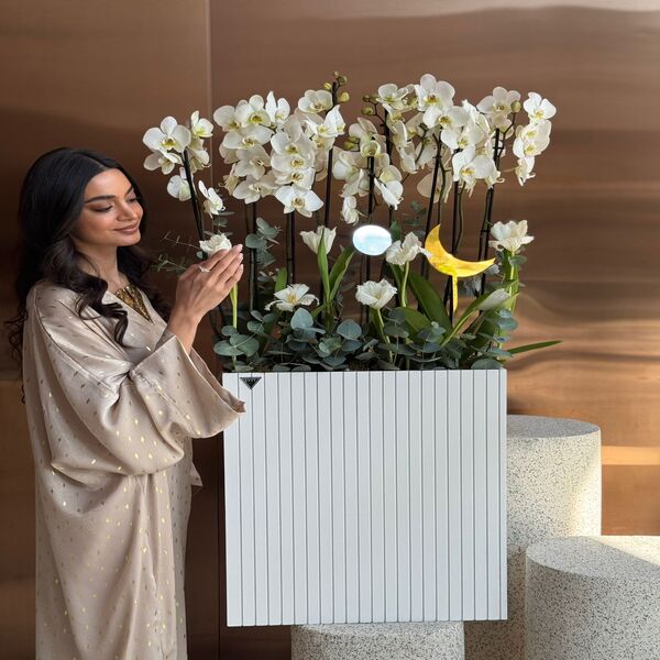 fc905da3_Mesmerizing White.jpg